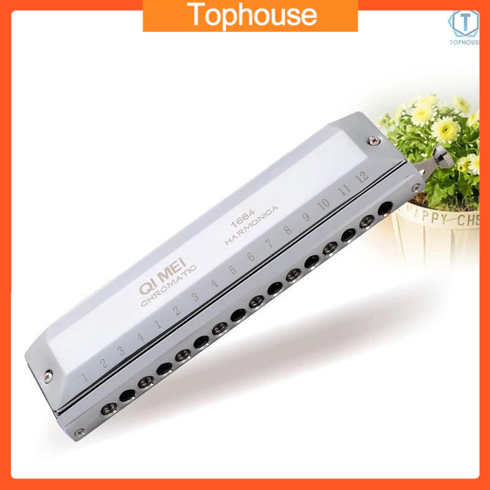 Kèn Harmonica 16 Lỗ Chuyên Nghiệp