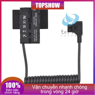Pin giả F550 NP-F hai mặt Cáp nguồn hình chữ thập sang D-Tap với đầu ra 5-12V Type-C cho màn hình trường Đèn LED truyền Video không dây