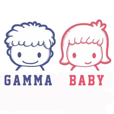 Gamma baby toys .vn