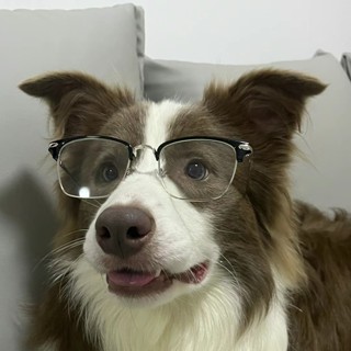 ZM Glasses Official Store