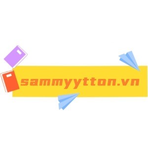sammyytton.vn