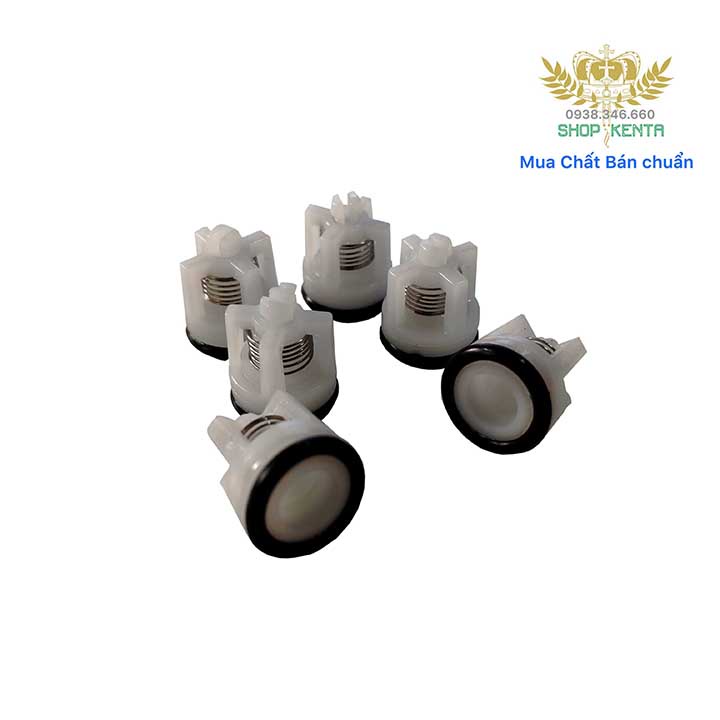 BỘ 6 VAN 1 CHIỀU CHO MÁY XỊT RỬA CAO ÁP - PHỤ KIỆN MÁY RỬA XE