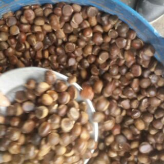 1kg dẻ tươi trùng khánh