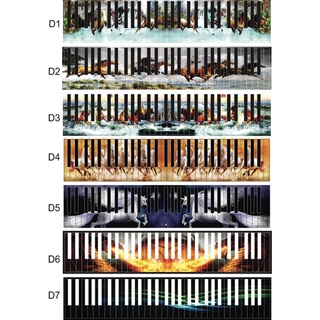 Decal dán phím đàn Organ