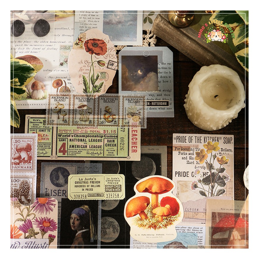BỘ GIẤY VINTAGE JOURNAL | MDC214