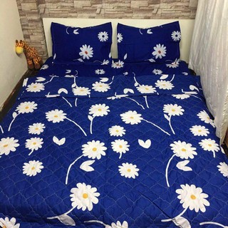 Bộ ga giường cotton
