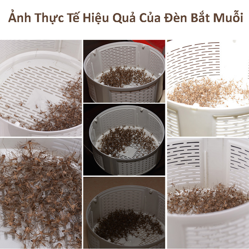 Đèn bắt muỗi thông minh tại nhà, Đèn bắt côn trùng giá rẻ, Chất lượng cao Nano Wawe 365