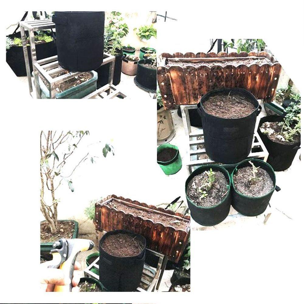 Túi Trồng Cây Khoai Tây Trong Nhà Tiện Dụng