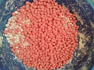 Trân châu dừa mix màu 1kg