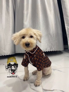 Pijama lụa LV dành cho chó mèo [QUẦN ÁO THÚ CƯNG]