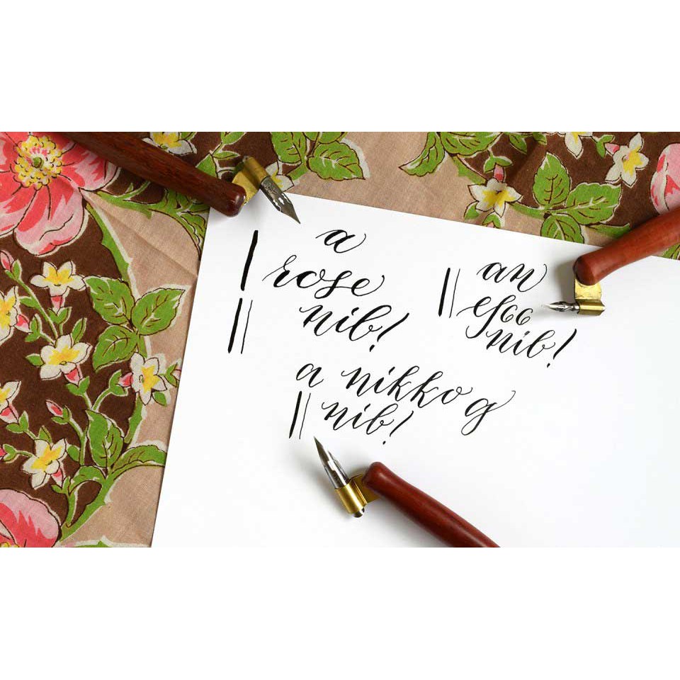 Ngòi bút Calligraphy Brause Rose