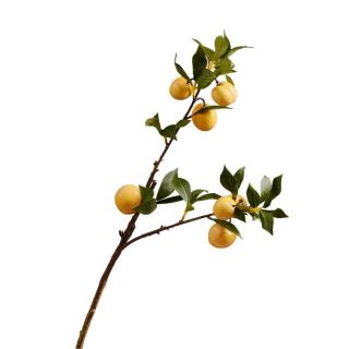 Cành mơ cao cấp