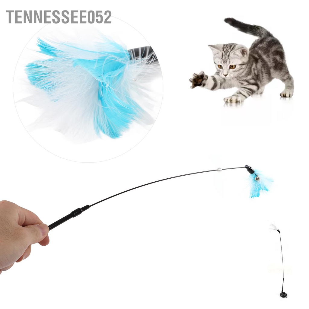 Tennessee052 Tách hút lông vũ mèo tương tác Gậy chọc ghẹo có chuông để con trong nhà tập thể dục cho già