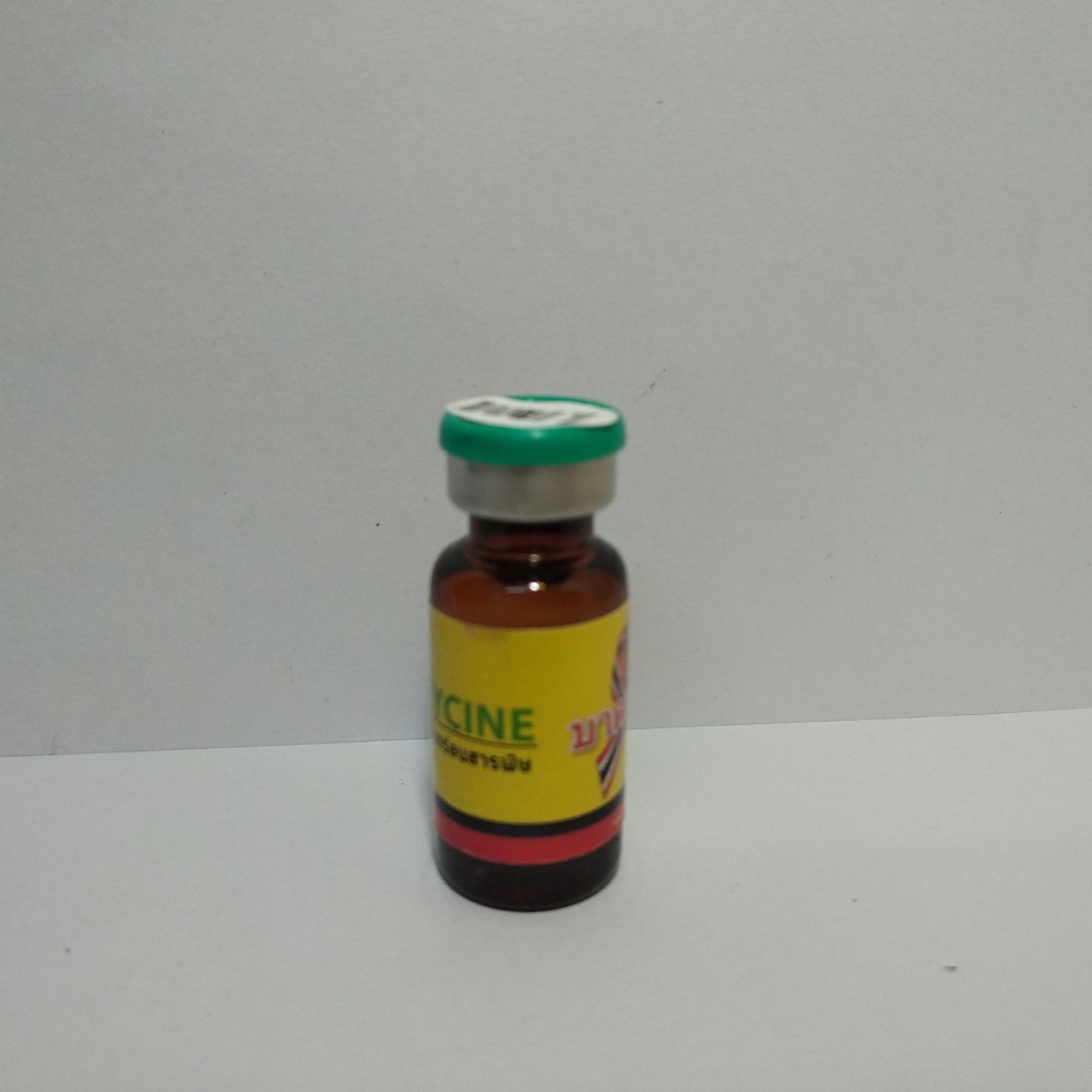 Tilmycine cho gà khò khè nặng lâu ngày