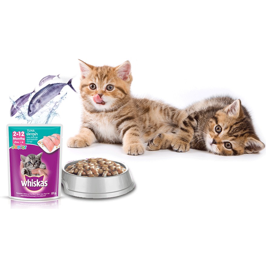 Bộ 6 túi thức ăn mèo con Whiskas vị cá ngừ 85g