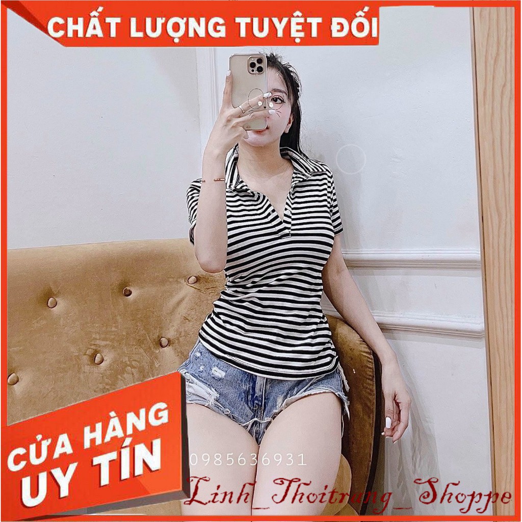 Áo thun nữ Ngắn tay Kẻ Sọc ngang Chất lụa băng Cổ V Form rộng Có Cổ bẻ Áo phông nữ Tay ngắn Free size LS-52