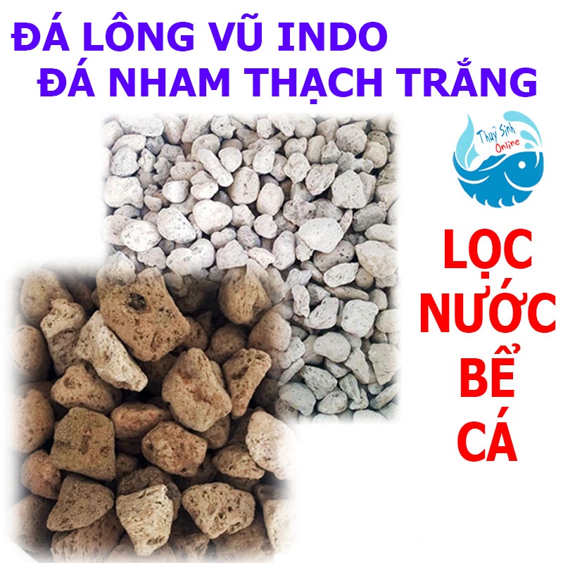 Blue Sky 999 chuyên trị bệnh cá cảnh, cá thuỷ sinh cực kì hiệu quả, hàng công ty
