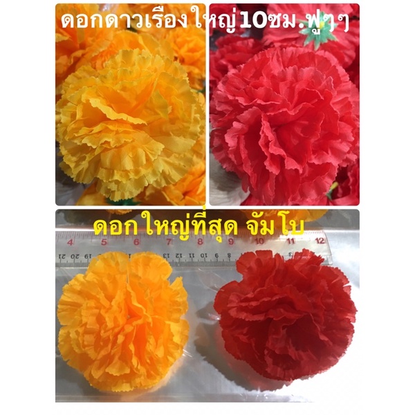 Hoa cúc vạn thọ Lớn Đỏ Vàng Cam 10 Cm. Jumbo cúc vạn thọ