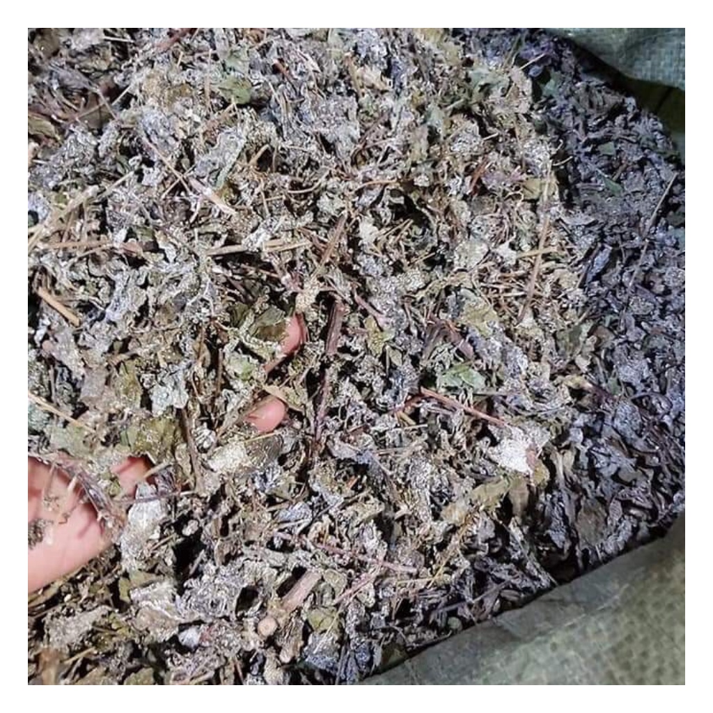 Chè Dây Cao Bằng Hỗ Trợ Dạ Dày Hiệu Quả Túi 1Kg | BigBuy360 - bigbuy360.vn