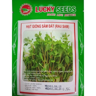 HẠT GIỐNG RAU SÂM ĐẤT (RAU SAM) GÓI 0,5G