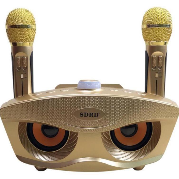 Loa Hát karaoke SD 306- Loa karaoke kèm 2 micro sạc không dùng pin - Âm thanh to