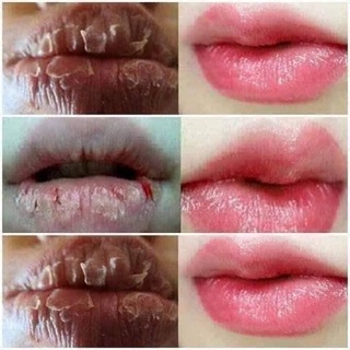 SON DƯỠNG MÔI GẤC TRẦN MAO