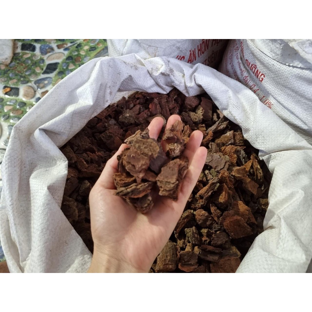 1 bao vỏ thông đủ các size trồng hoa lan cây cảnh gói 1 kg