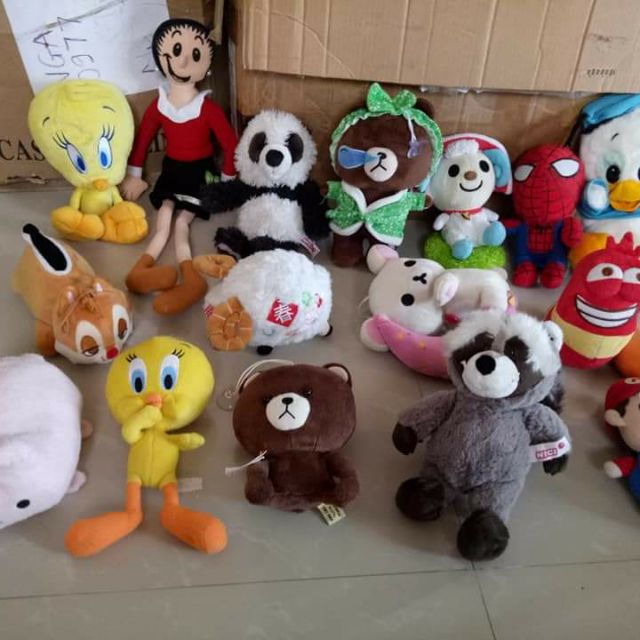 Gấu bông của sơn huế