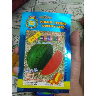Hạt giống dưa hấu không hạt vỏ sọc Thái Lan - Kèm gói thuốc kích thích hạt nảy mầm