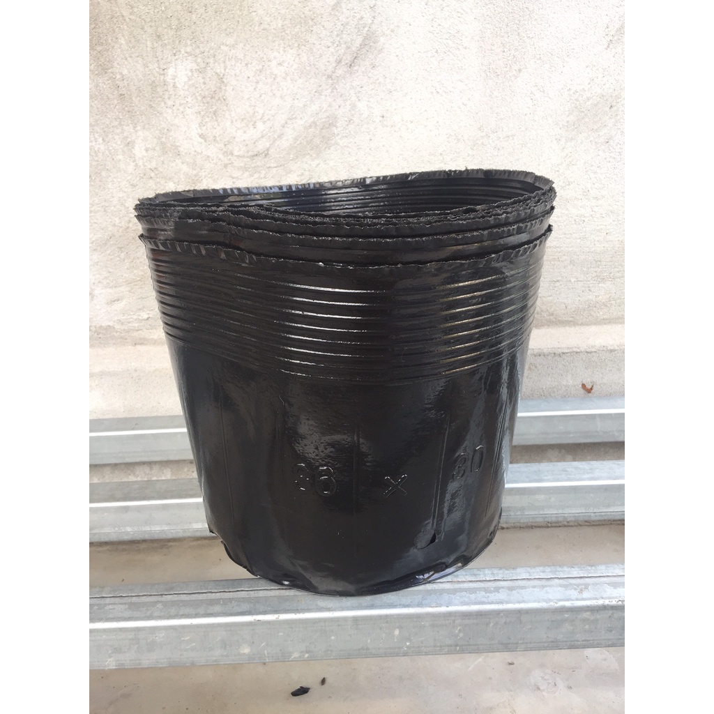 BẦU ƯƠM CÂY 36*30 ( DỊCH TRUYỀN CHO CÂY, KÍCH RỄ , MẦM CÂY XANH LÁ, LƯỚI CHE NẮNG...)