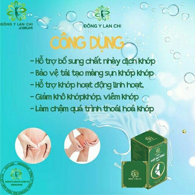 Khớp Đan Vương Đông Y Lan Chi