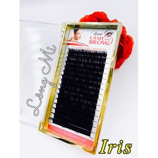 Lông mi khay - nối mi Volume 0.07 CL Cao Cấp cong C D L M   - dễ tạo Fan