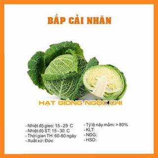 Hạt Giống Bắp Cải Nhăn - 0.2Gr