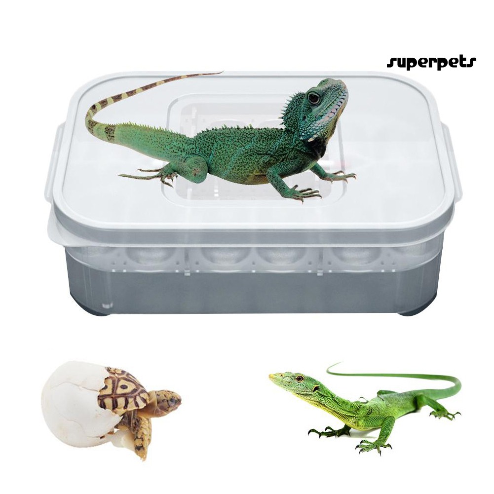 Hộp ấp trứng 6 ngăn 12 ô cho thú cưng bò sát