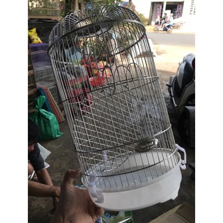 lồng inox chim sâu