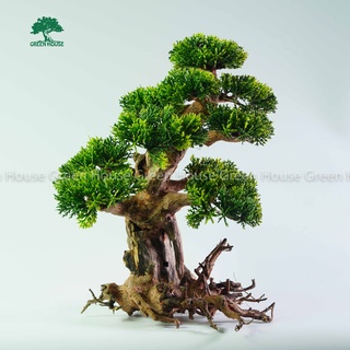 Lũa Bonsai, Lũa thủy sinh dùng trang trí hồ cá cảnh, hồ thủy sinh, văn phòng, nhà cửa (PLASTIC/15)