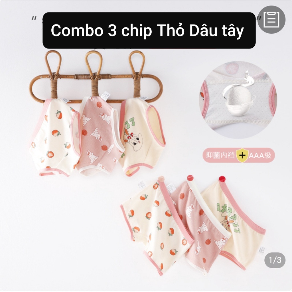 Sét 3 quần chip bé gái hoạ tiết Thỏ Xanh quần lót cotton kháng khuẩn cho học sinh từ 9-46kg