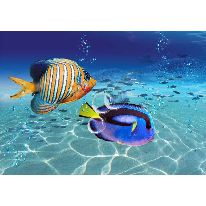 Tranh Dán Tường Đại Dương 3D Hiện Đại đẹp lung linh, hình ảnh chân thực