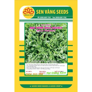 Hạt giống rau thơm- wild rocket 0.5gr dễ trồng