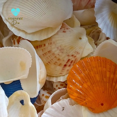 2k/1 Vỏ Sò Điệp làm đồ handmade, trang trí phong cách vùng biển, cho bé học tạo hình