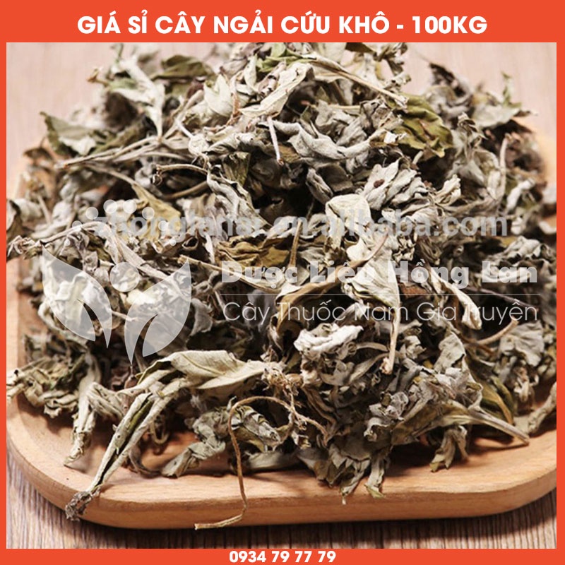 Cung cấp sỉ CÂY NGẢI CỨU khô giá bán 100kg - Công ty dược liệu Hồng Lan