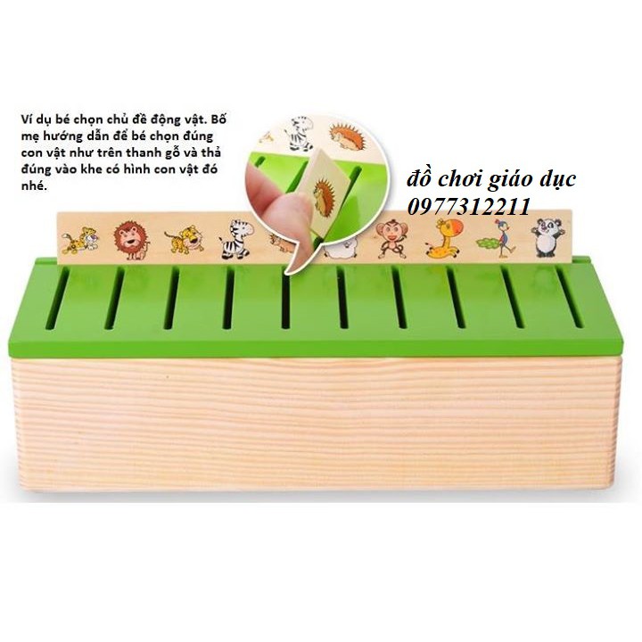 Hộp phân loại nhiều chủ đề