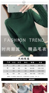 Áo len nữ cổ lọ