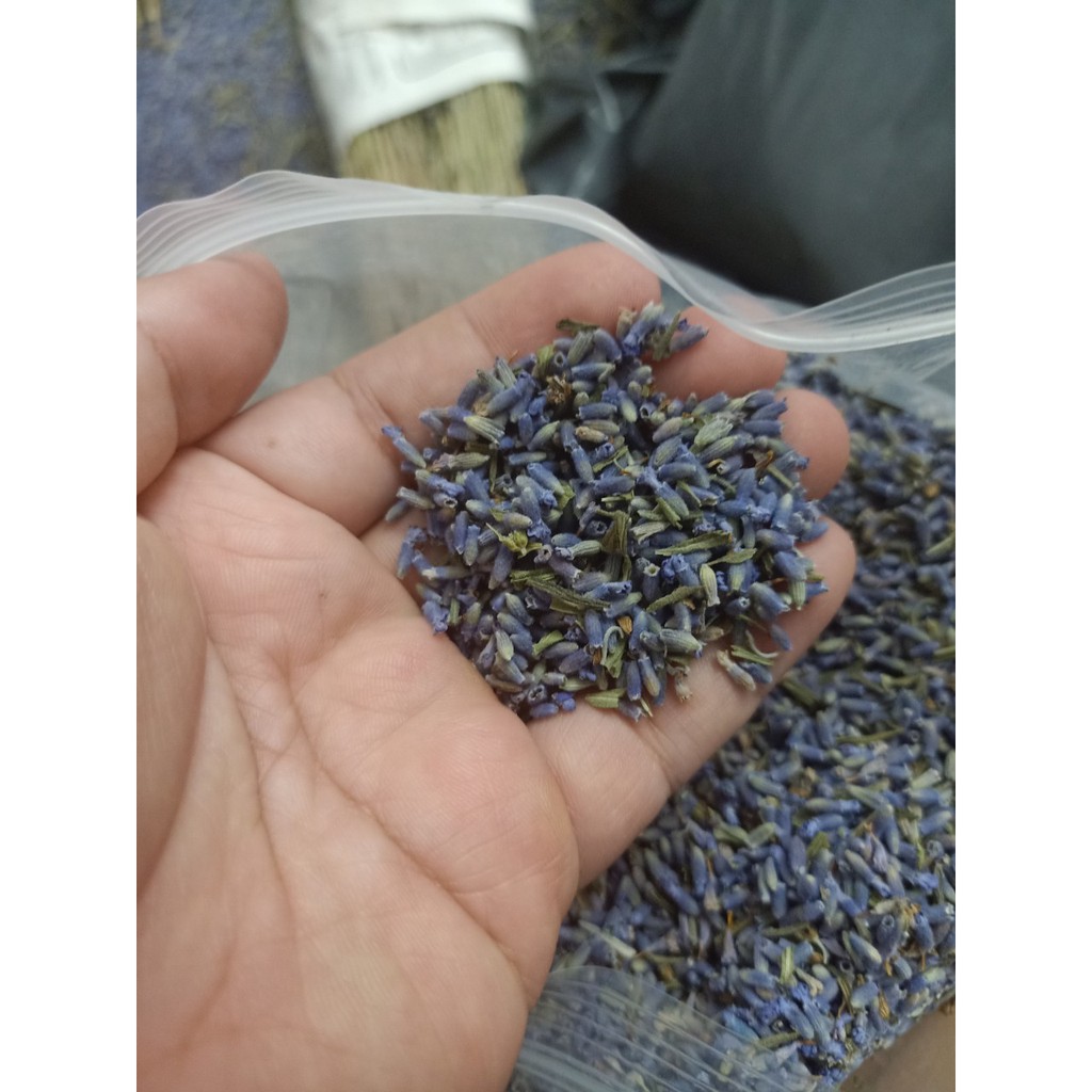 Túi thơm nụ hoa oải hương lavender khô