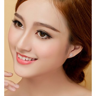 Bông tai cỏ 4 lá may mắn T191