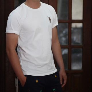 Áo thun nam cổ tròn màu ghi cao cấp cotton