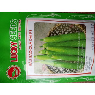 Hạt giống BẦU SAO F1