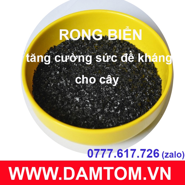 Phân hữu cơ rong biển SEAWEED - Kích thích ra hoa, chống rụng hoa quả