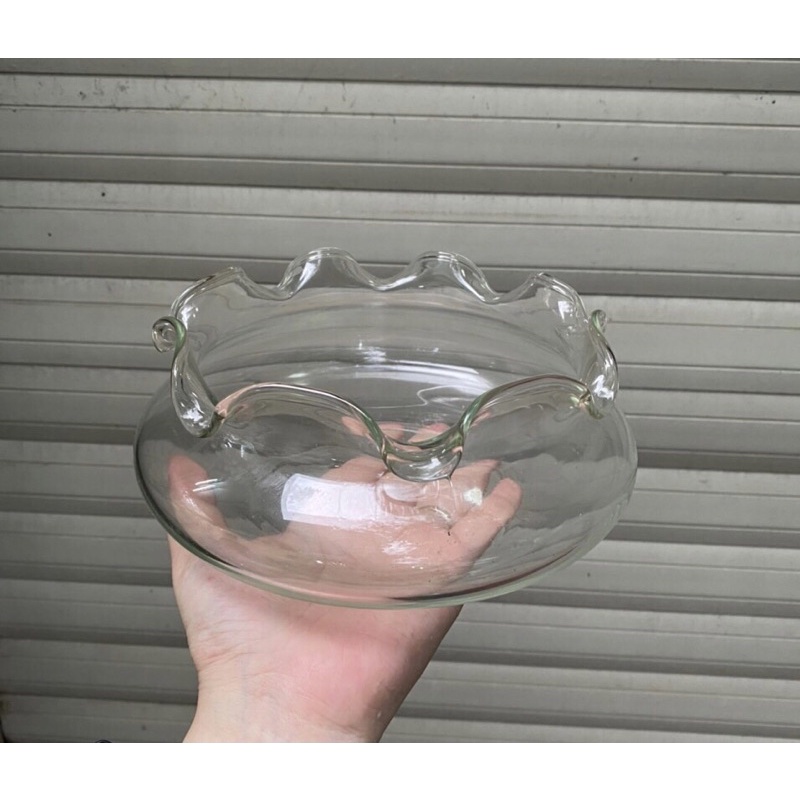 Bể Cá Tròn Phù Hợp Nuôi Cá Văn Phòng, Bàn Làm Việc | Hồ Tròn Setup Terrarium