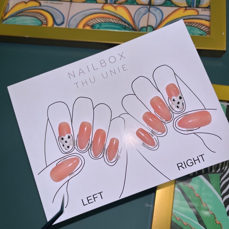 Nail box - bò sữa hồng